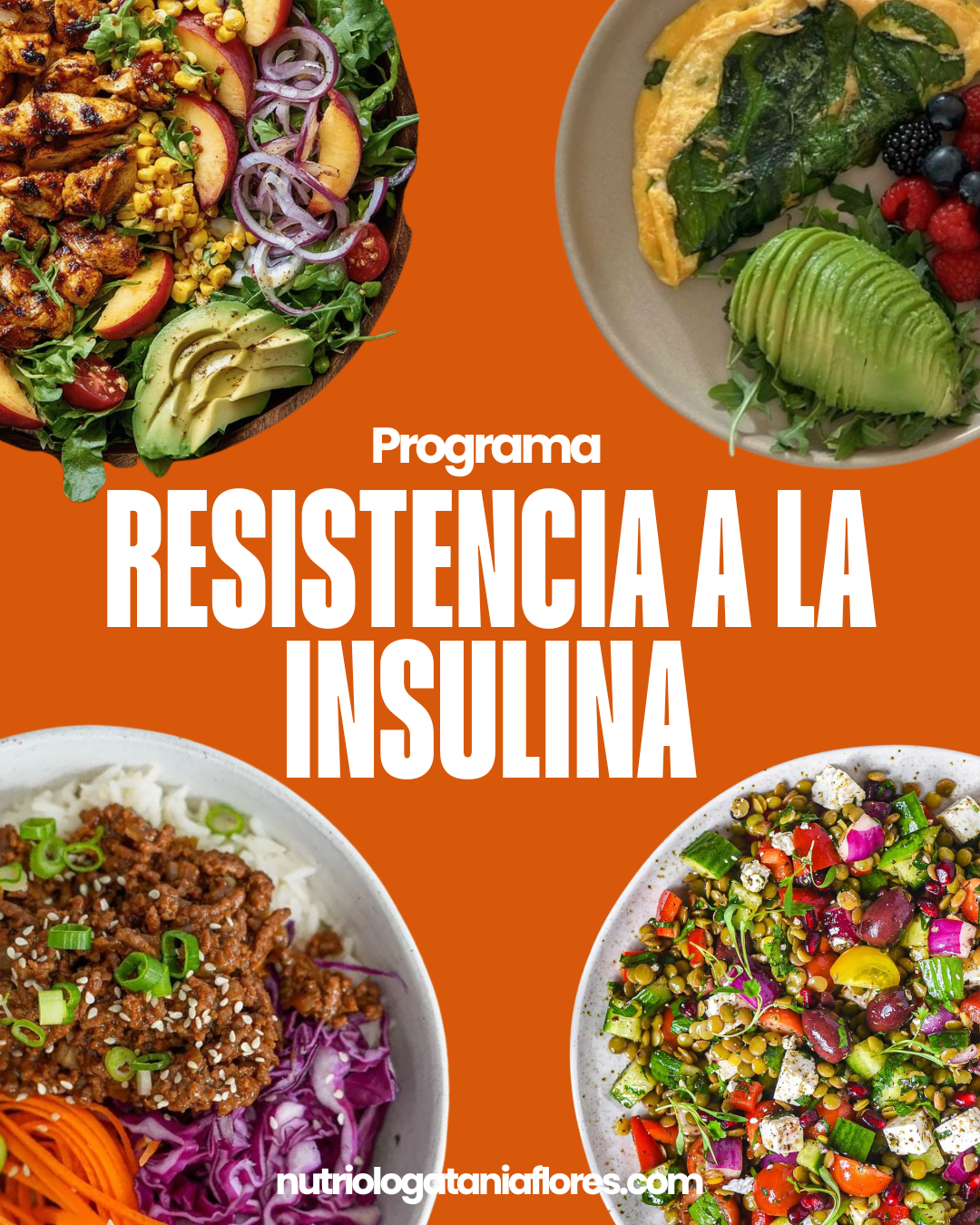 PROGRAMA RRI: RESISTENCIA A LA INSULINA