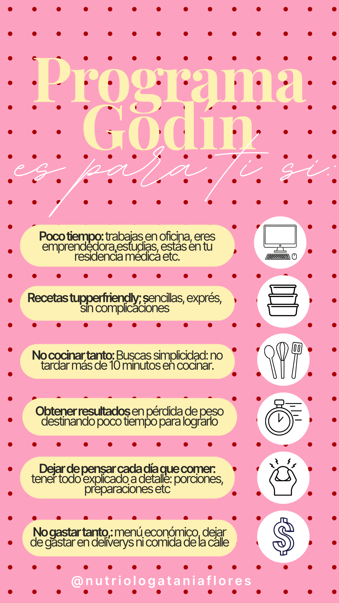 PROGRAMA GODÍN